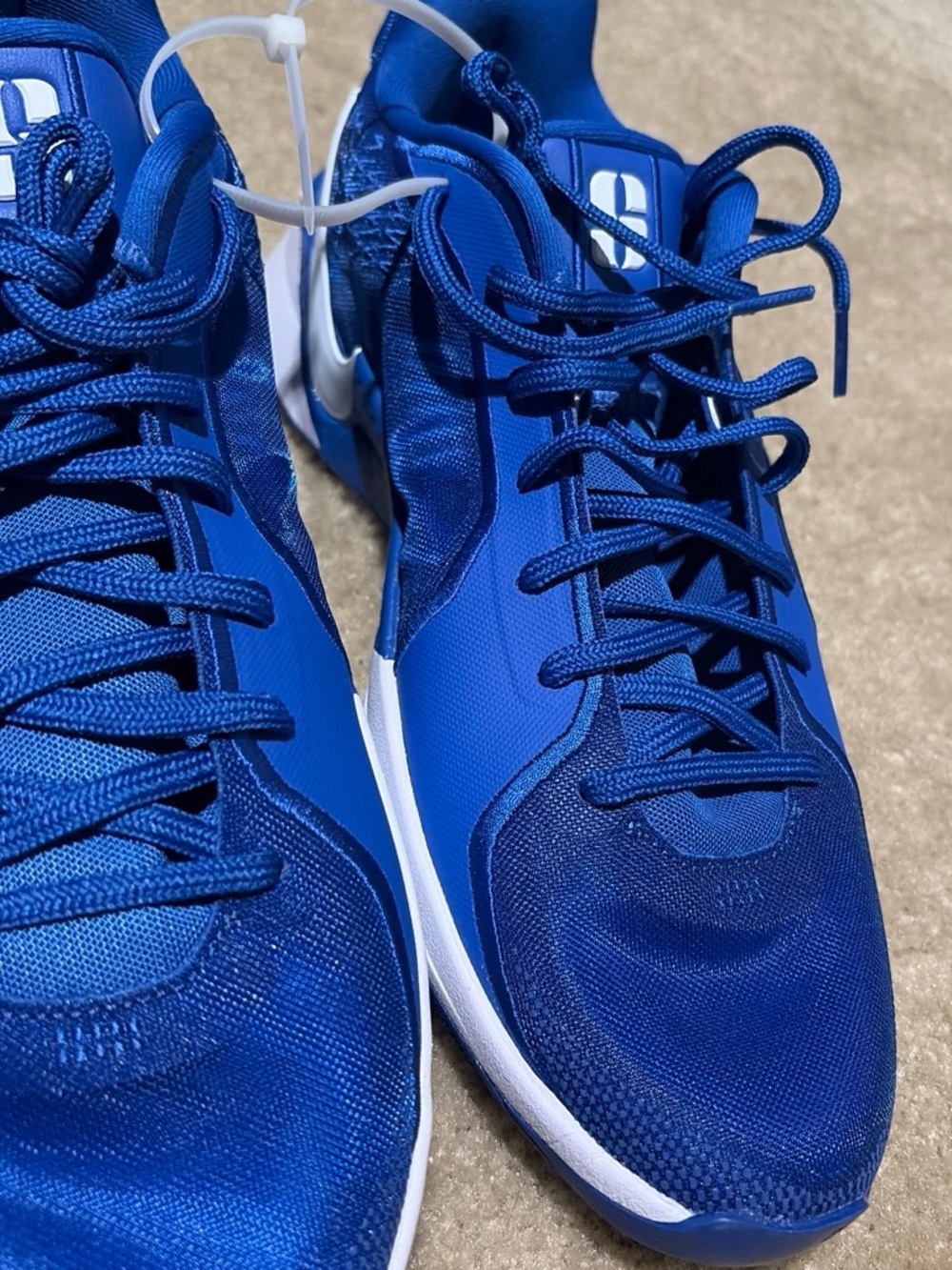 Nike Men's Royal Blue Athletic Sneakers